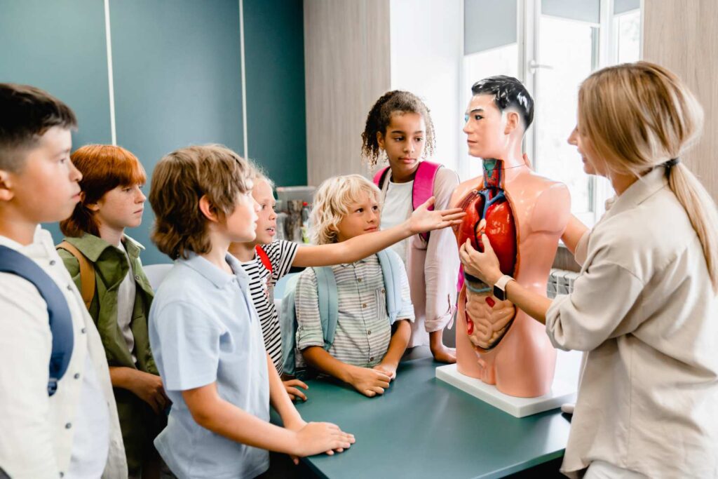 A public health educator explains human anatomy to children.